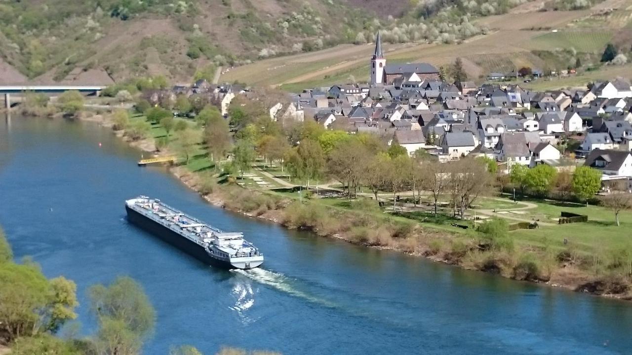 Ferienwohnungen Am Bruttiger Moselsteig Экстерьер фото