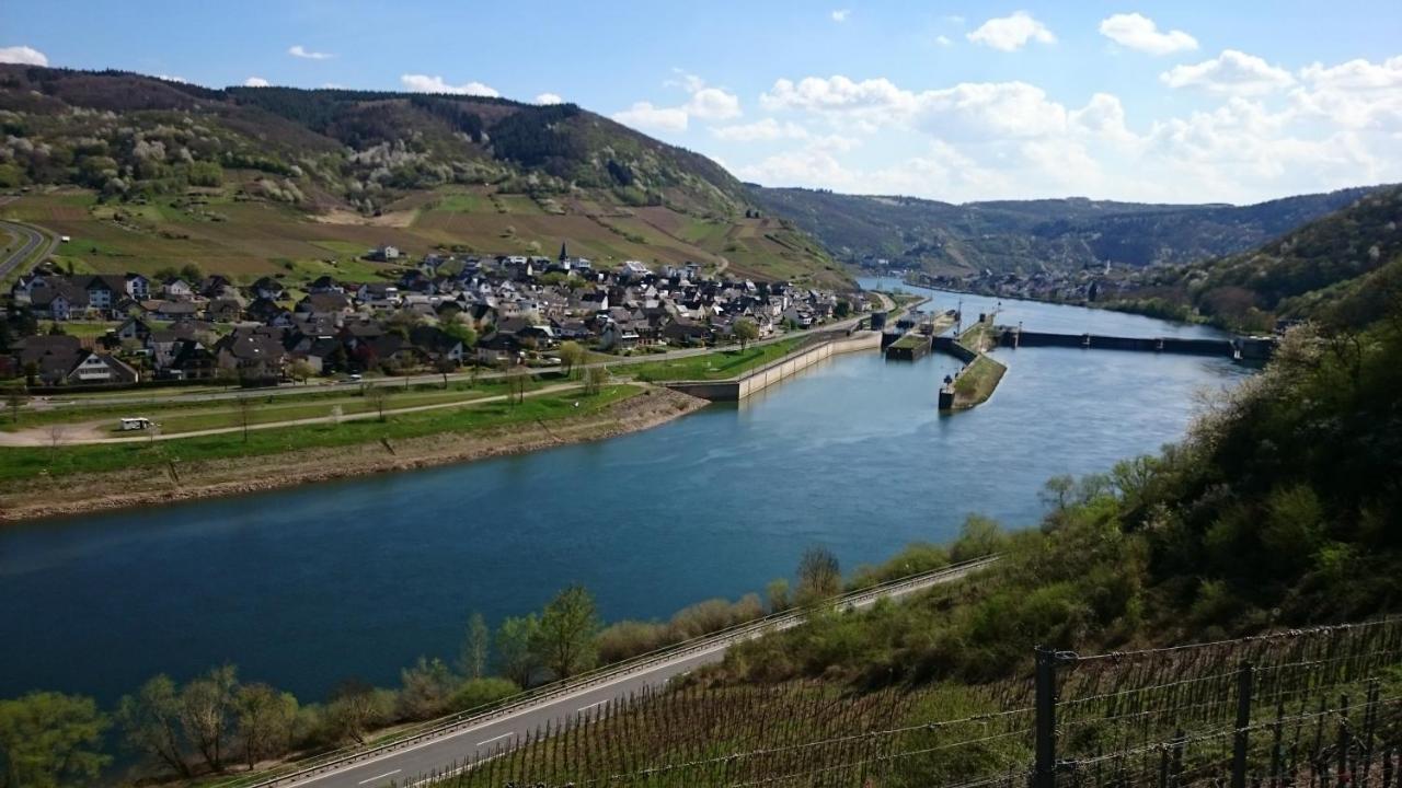 Ferienwohnungen Am Bruttiger Moselsteig Экстерьер фото