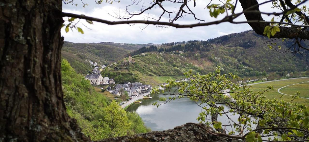 Ferienwohnungen Am Bruttiger Moselsteig Экстерьер фото