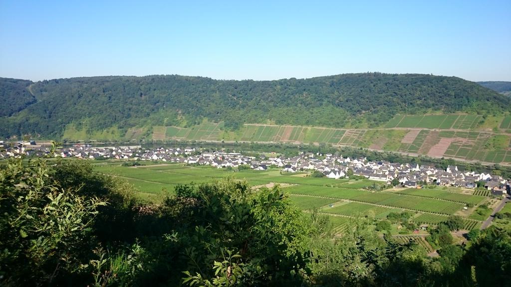 Ferienwohnungen Am Bruttiger Moselsteig Экстерьер фото