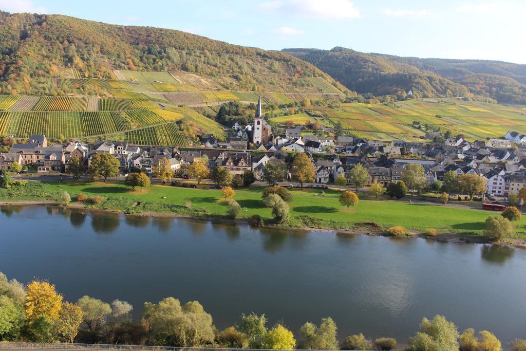 Ferienwohnungen Am Bruttiger Moselsteig Экстерьер фото