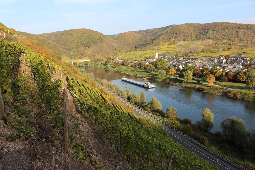 Ferienwohnungen Am Bruttiger Moselsteig Экстерьер фото