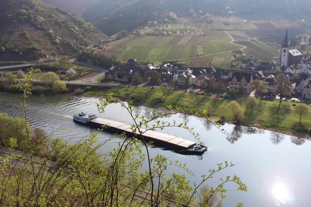 Ferienwohnungen Am Bruttiger Moselsteig Экстерьер фото