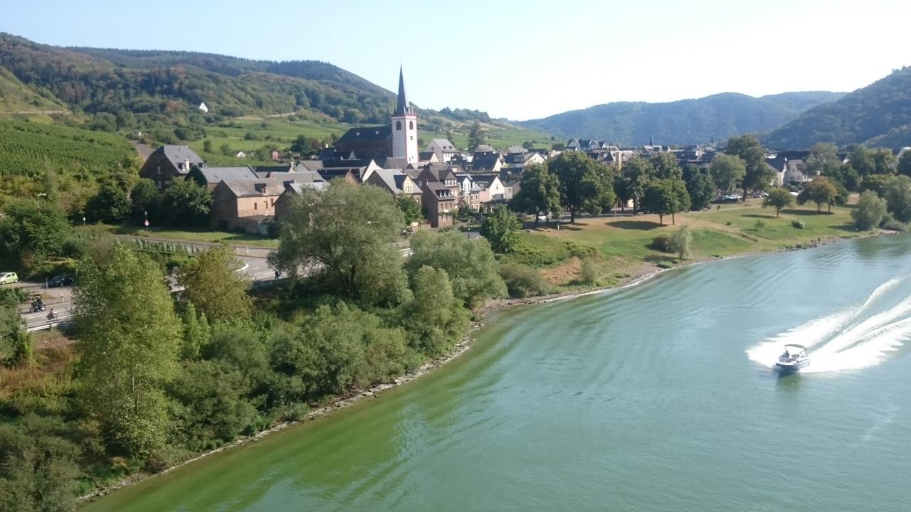 Ferienwohnungen Am Bruttiger Moselsteig Экстерьер фото